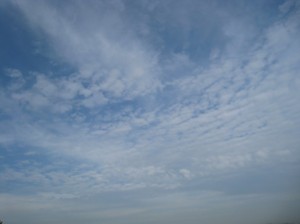 上空の高層と中層の雲　(天気悪化の前ぶれ?)