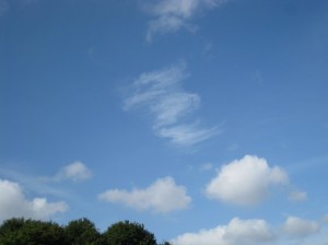 すじ雲(高層雲)&わたぐも(低層雲)のコラボ