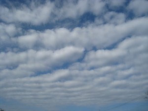ウネウネとした波状雲(さば雲)