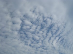 うろこ雲(巻積雲)
