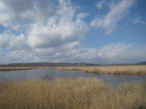 季節はずれの釧路湿原