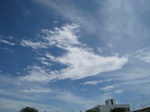 鳥のような雲