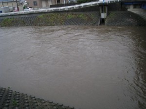 普段チョロチョロの近くの川も増水