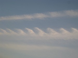 11月　『のこぎり雲』