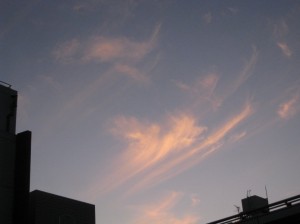 鉤状の巻雲