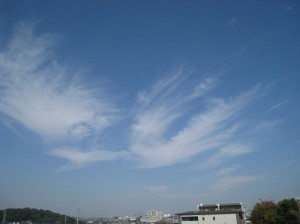 鳥の飛翔のような巻雲