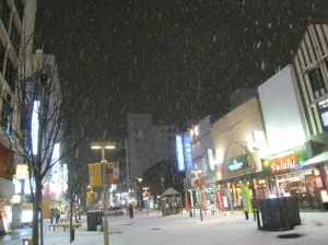 雪が舞う旭川市内