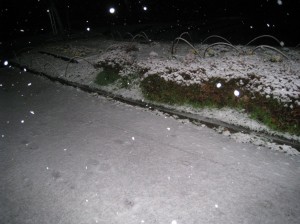 関東南部も積雪です