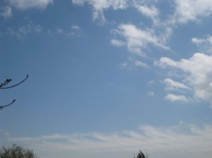 のこぎり状の雲(下部)