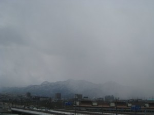 雪が降ってきました (岩手県盛岡市)