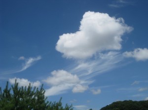 積雲と巻雲のコラボ