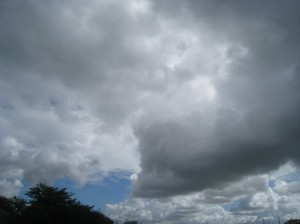 湿り気の多い積雲群