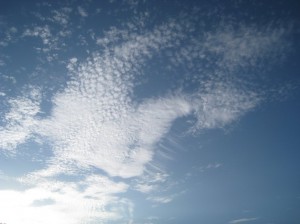 うろこ雲　(＋尾流雲付き)