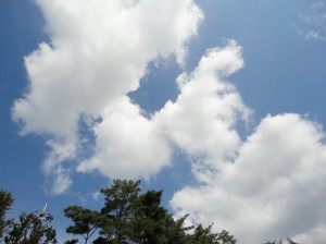 雲がふえてきました (大阪府枚方市)