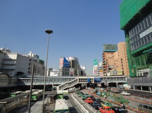 陽射したっぷりポカポカ (東京渋谷駅前)