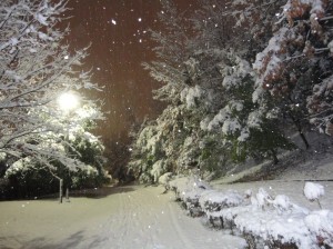 雪の夜道 深さ7～8cm
