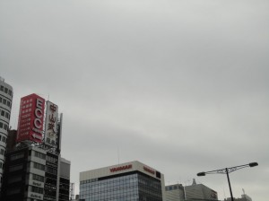 花ぐもりの東京駅