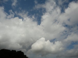 朝から発達した雨雲