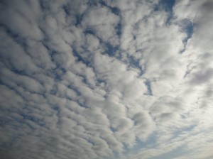 朝のひつじ雲