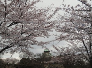 花曇りの大阪城公園