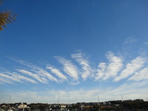 新春初雲
