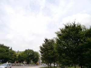 雷雲が湧きそうな蒸し暑さ(東京世田谷)