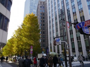 オフィス街の黄葉 (東京虎ノ門)