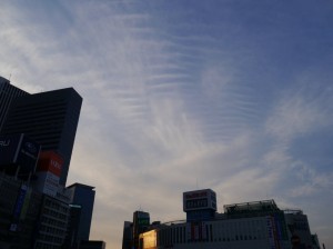夕暮れの上層雲 (東京新宿)