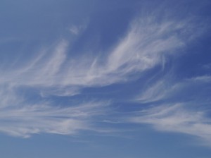 空一面の巻雲