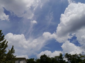 猛暑と積雲 (大阪枚方市)