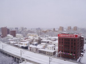 札幌市内の雪は少なめ