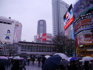 雪ではなく冷たい雨 (東京 渋谷)