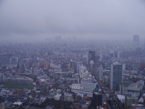 悪天で視界不良 (東京 新宿)