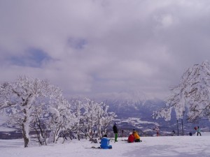 ポカポカの雪原