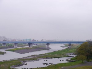 毎日雨ばかり... (東京多摩川)