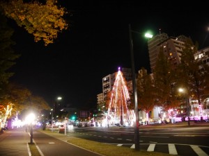 イルミネーションの季節 (広島 平和大通り)