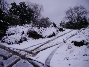 横浜でも積雪