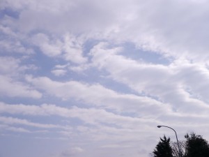 高積雲の波動