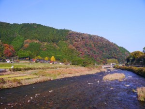 色づいた山 (鳥取県日野町)