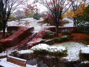 まさかの紅葉と雪のコラボ
